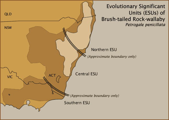 Evolutionary Significant Units (ESUs) of Brush-tailed Rock-wallaby Evolutionary Significant Units (ESUs) of Brush-tailed Rock-wallaby