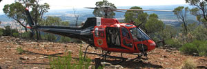 Helicopter arrives with Rock-wallabies - Photo: Ryan Collins