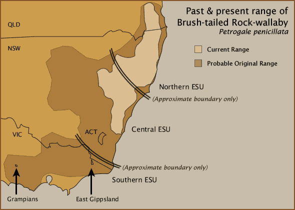 Past & present range of Brush-tailed Rock-wallaby