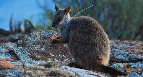 Eating - Photo: Hugh McGregor Eating